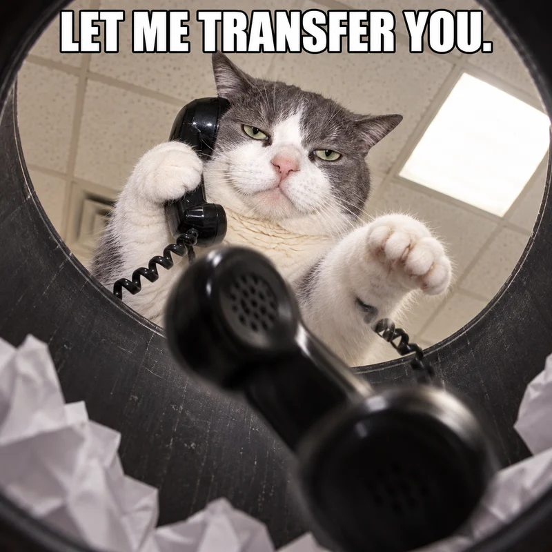 Viewed from inside a trash bin, the phone cat drops a receiver toward the viewer. Caption: LET ME TRANSFER YOU.